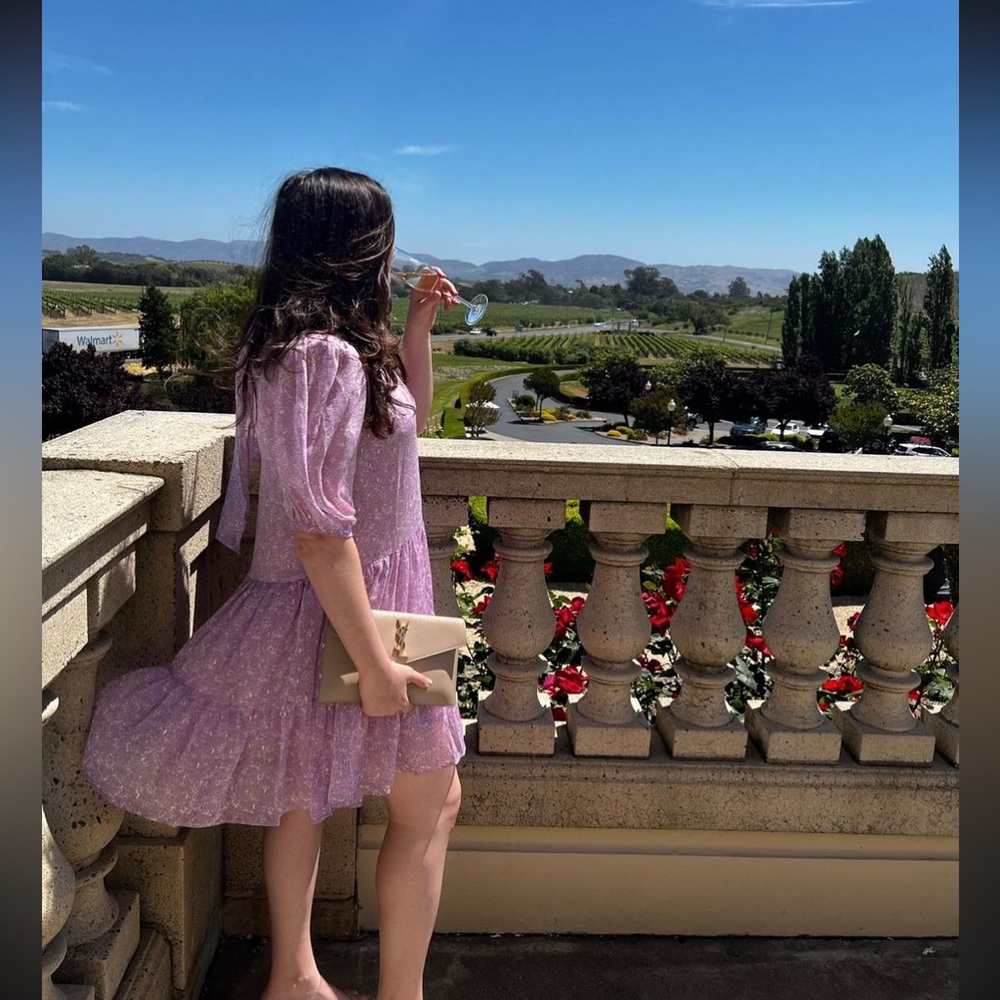 Sabina Musayev Dress